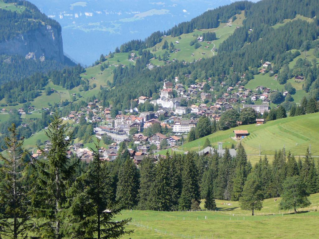 Chalet Acheregg Венген Стая снимка